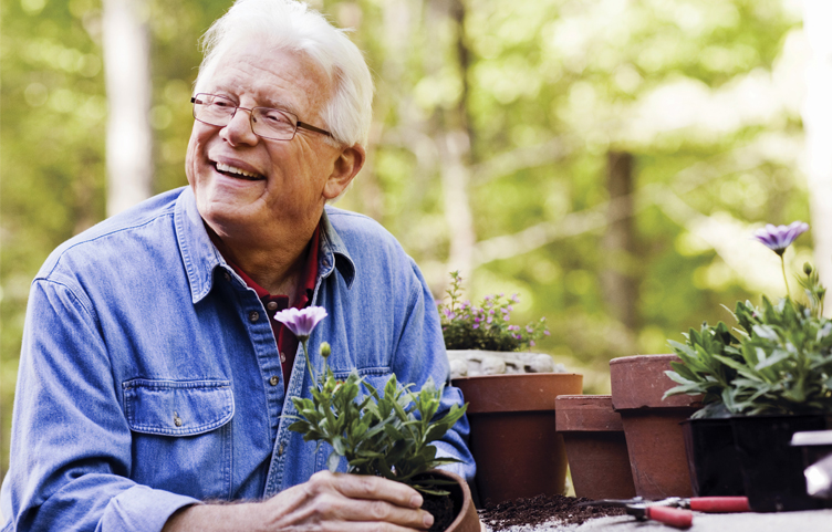 enhance senior living joliet